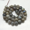 Natural Labradorite Beads Strands G-G212-6mm-23-2