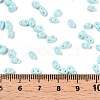 Baking Paint Glass Seed Beads SEED-T006-03G-4