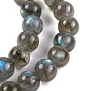 Grade AA Natural Gemstone Labradorite Round Beads Strands G-E251-33-6mm-01-6