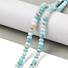 Natural Howlite Beads Strands G-H025-03D-09-2