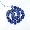Natural Lapis Lazuli Beads Strands G-F653-03-3