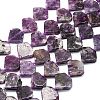 Natural Lepidolite Beads Strands G-G106-E01-01-1