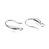 Tarnish Resistant 304 Stainless Steel Earring Hooks STAS-S057-60-2