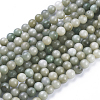 Natural Myanmar Jade/Burmese Jade Beads Strands G-K300-H03-A-2
