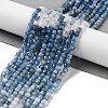 Natural Aquamarine Beads Strands G-B088-E10-04-2