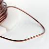 Round Copper Jewelry Wire CWIR-R004-0.3mm-06-3