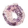 Natural Rose Quartz & Amethyst Beads Strands G-L610-B13-01-3