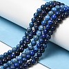 Natural Lapis Lazuli Beads Strands G-K311-14A-4