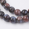 Natural Llanite Beads Strands G-F560-8mm-C01-3
