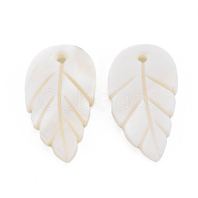 Freshwater Shell Pendants SHEL-S251-03-1