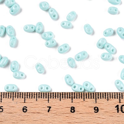 Baking Paint Glass Seed Beads SEED-T006-03G-1