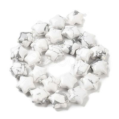 Natural Howlite Beads Strands G-NH0005-006-1