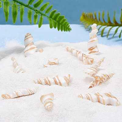 Natural Trochid Shell/Trochus Shell Beads SSHEL-NB0001-20-1-1