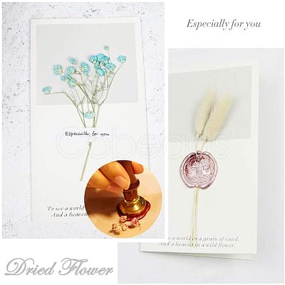 DIY Scrapbook AJEW-WH0100-355-1