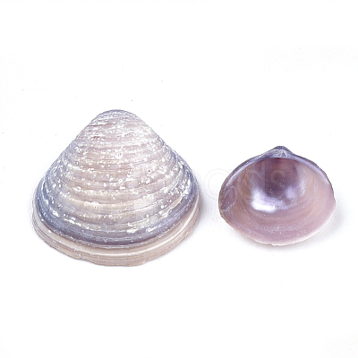 Clam Shell Beads SSHEL-S258-42-1