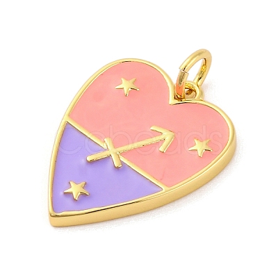 Brass Enamel Pendants KK-Z077-01G-12-1