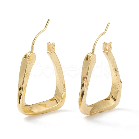 Brass Hoop Earrings EJEW-A056-13G-1