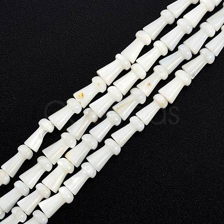 Natural Freshwater Shell Beads Strands SHEL-G013-02D-1