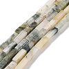 Natural Jade Beads Strands G-E612-C15-01-1