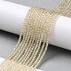 Transparent Electroplate Glass Beads Strands GLAA-H021-01A-PL02-3