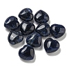 Natural Sodalite Beads G-P531-A10-01-1