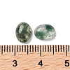 Natural Moss Agate Cabochons G-I359-01-3