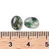 Natural Moss Agate Cabochons G-I359-01-3