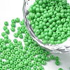 12/0 Grade A Baking Paint Glass Seed Beads SEED-R046-1026-1