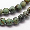 Natural African Turquoise(Jasper) Beads Strands G-N0188-02-2mm-3