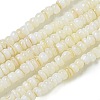 Dyed Natural Freshwater Shell Beads Strands BSHE-G039-07N-1