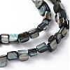 Erose Natural Shell Beads Strands X-PBB070Y-3