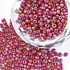 Opaque Glass Seed Beads SEED-S023-01B-05-1