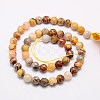 Natural Crazy Lace Agate Beads Strands G-G542-14mm-10-2