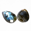 Natural Labradorite Pendants PW-WGF49F5-05-1