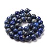 Natural Lapis Lazuli Beads Strands G-E483-17-10mm-5