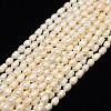 Natural Cultured Freshwater Pearl Beads Strands X-PEAR-L001-E-20-1