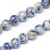 Natural Blue Spot Jasper Bead Strands G-R193-15-10mm-1