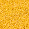 MIYUKI Delica Beads SEED-X0054-DB1592-3