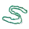 Natural Sinkiang Turquoise Beads Strands TURQ-F013-01-2