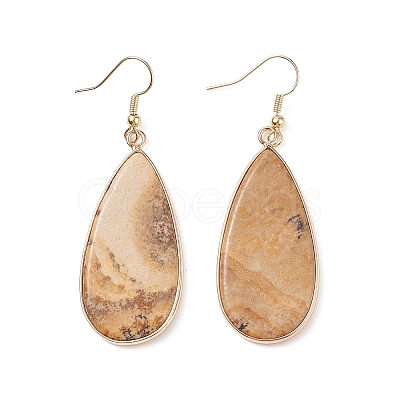 Natural Picture Jasper Teardrop Dangle Earrings EJEW-G331-01G-07-1