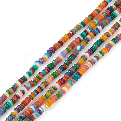 Rainbow Color Natural Freshwater Shell Beads Strands SHEL-M018-08A-1