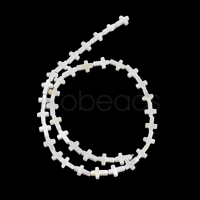 Natural Freshwater Shell Beads Strands BSHE-G036-05A-1