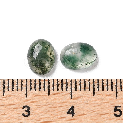 Natural Moss Agate Cabochons G-I359-01-1