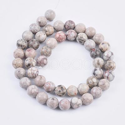 Natural Maifanite/Maifan Stone Beads Strands G-F353-8mm-1