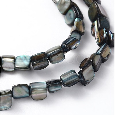 Erose Natural Shell Beads Strands X-PBB070Y-1