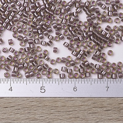 MIYUKI Delica Beads X-SEED-J020-DB0912-1