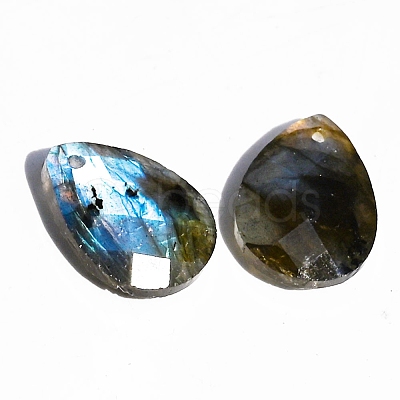 Natural Labradorite Pendants PW-WGF49F5-05-1