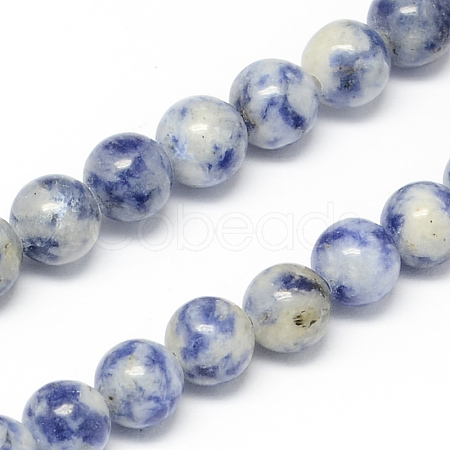 Natural Blue Spot Jasper Bead Strands G-R193-15-10mm-1