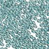 Glass Seed Beads SEED-H002-C-A049-3
