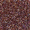 MIYUKI Delica Beads Small SEED-X0054-DBS0170-3